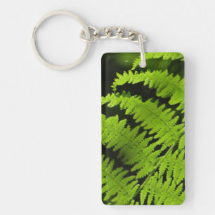 Green fern keychain