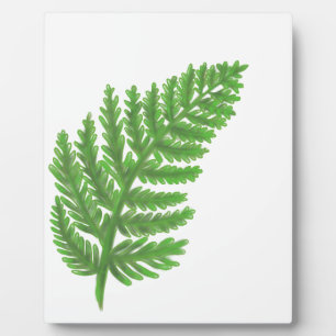 Green Fern Plaque
