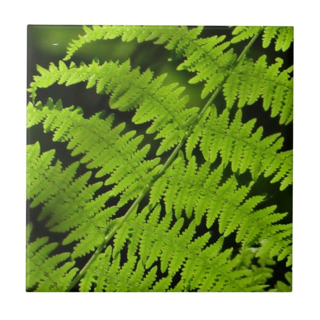 Green fern tile (Front)