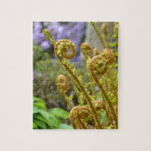 Green fiddlehead fern leaves jigsaw puzzle