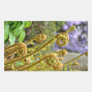 Green fiddlehead fern leaves sticker