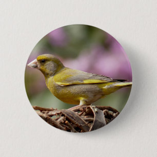 Green Finch 2 Inch Round Button
