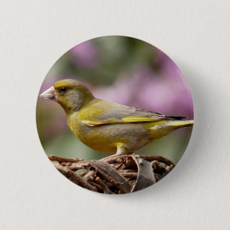 Green Finch 2 Inch Round Button
