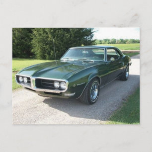 Green Firebird Postcard