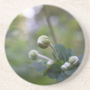 Green Flower Bud Garden Nature Photography Floral Coaster