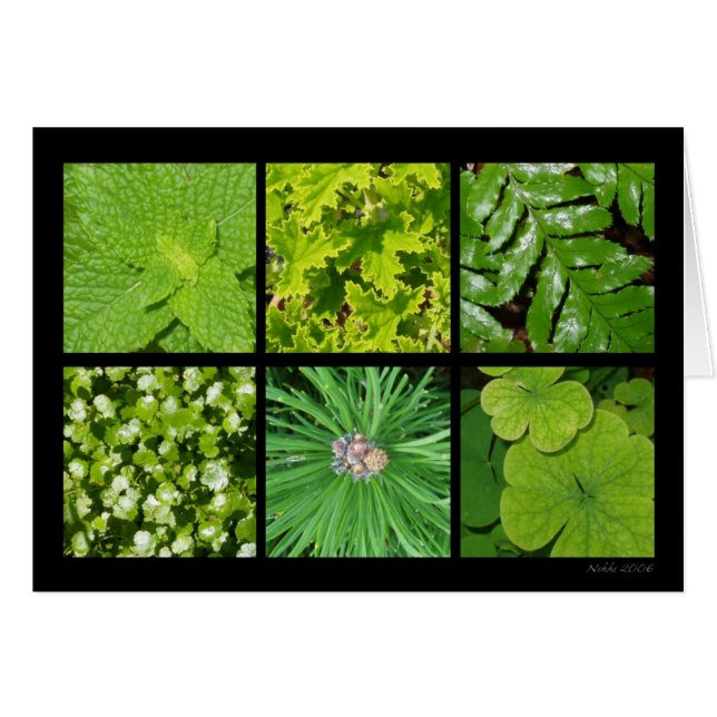 Green Foliage Card (Front Horizontal)