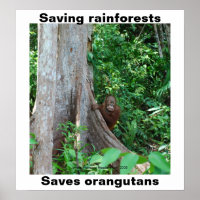 Green for Rainforests and Orangutans