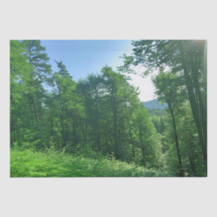 Green Forest Landscape Photography  Tissue Paper