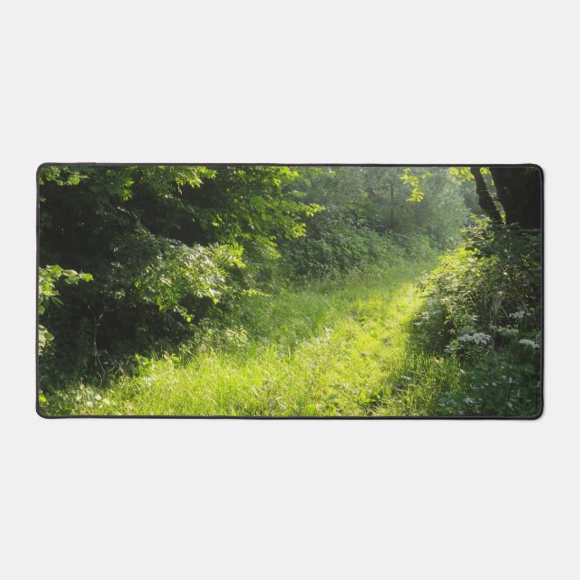 Green Forest Meadow (Recto)
