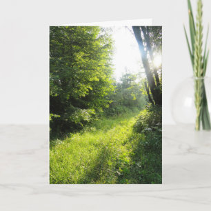 Green Forest Meadow Card