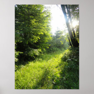 Green Forest Meadow Poster