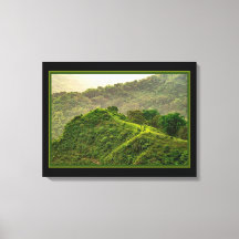 Green Forest On The Hill