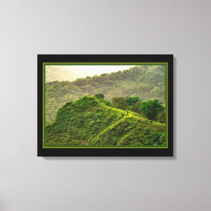 Green Forest On The Hill Canvas Print