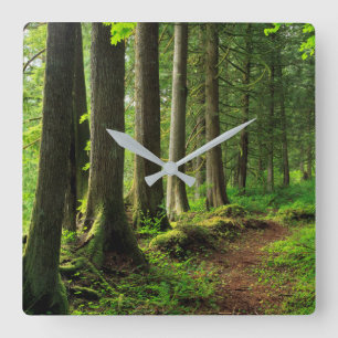 Green Forest Trail Scenic Square Wall Clock