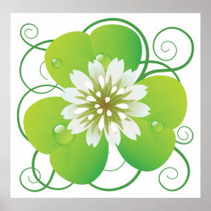 Green Four Leaf Clover with White Floral Bloom Poster