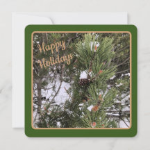 Green-framed Pine Cones - Flat Holiday Card