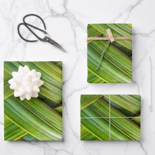 Green Fresh Bamboo Weave Wrapping Paper Sheet