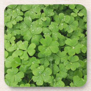 Green fresh shamrock, lucky St. Patricks pillow Coaster