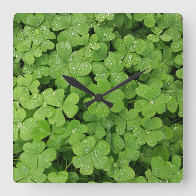 Green fresh shamrock, lucky St. Patricks Square Wall Clock (Front)