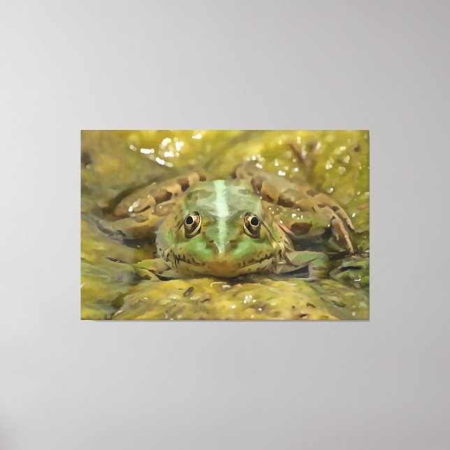 Green Frog Camouflaged Against Weathered River Bed Canvas Print (Front)