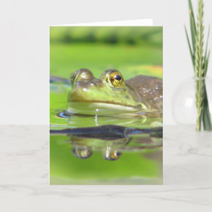 Green Frog Greeting Card