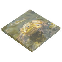Green Frog In Shallow Water Acrylic Painting