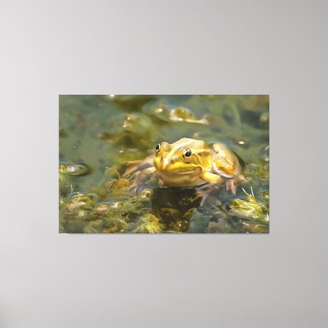 Green Frog In Shallow Water Acrylic Painting Canvas Print (Front)