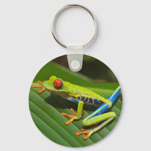 Green Frog Keychain