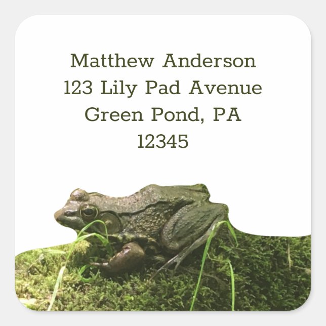 Green Frog on a Mossy Rock Return Address Labels (Front)