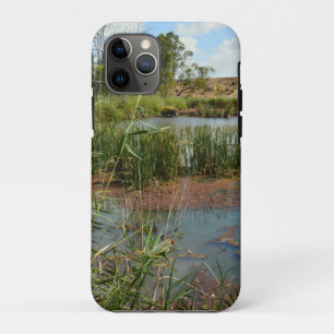 Green Frog On Reeds Over Swamp,   iPhone 11 Pro Case