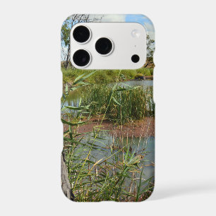 Green Frog On Reeds Overlooking His Large Pond,