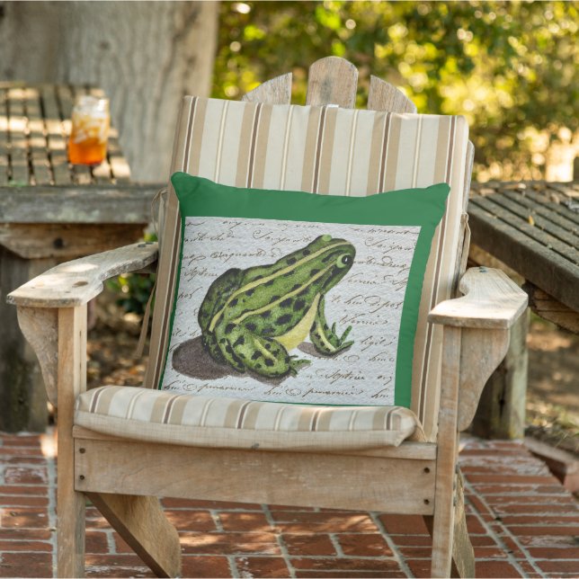 Green Frog Outdoor Pillow (Chair)