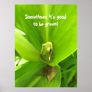 Green Frog Poster