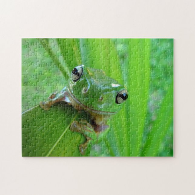 Green Frog Puzzle (Horizontal)