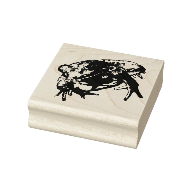 Green Frog Rubber Stamp (Stamp)