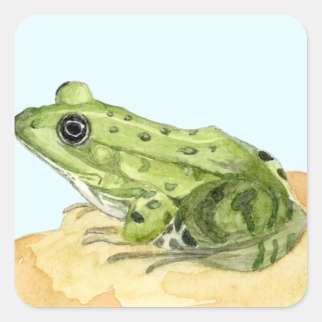 Green Frog Square Sticker (Front)