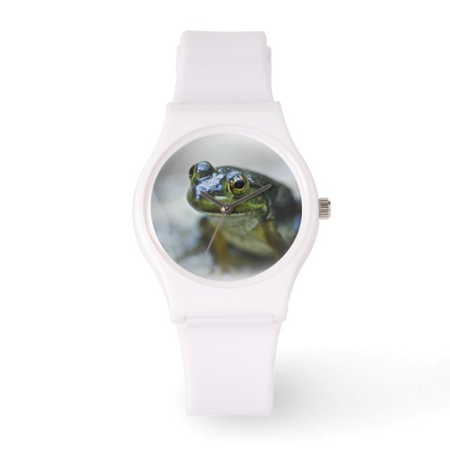 Green Frog Watch (Front)