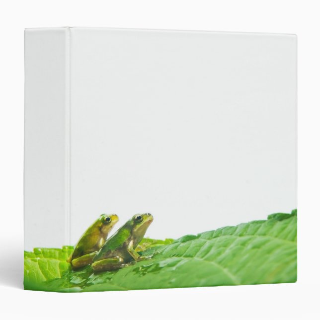 Green frogs on the leave binder (Front/Spine)