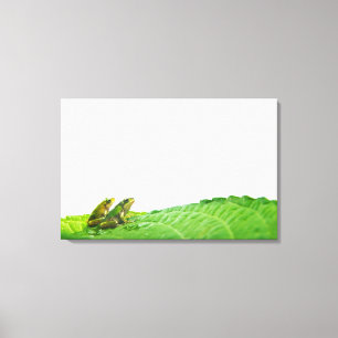 Green frogs on the leave canvas print