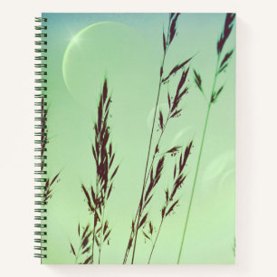 Green fronds leaves moon phases night sky notebook