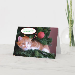 Green Funny Orange Cat  in a Christmas Tree  Holiday Card