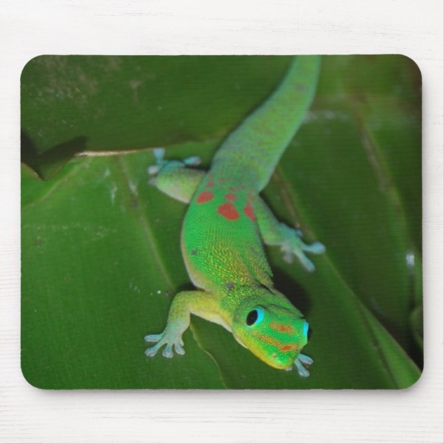 Green Gecko in Hawaii Mouse Pad (Front)