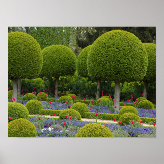 Green Globe Shape Trees Poster (Front)