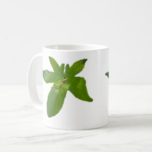 Green Grape Leaf Frog, Coffee Mug