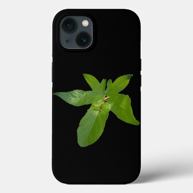 Green Grape Leaf Frog, iPhone 13 Case  (Back)