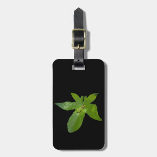 Green Grape Leaf Frog, Luggage Tag