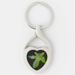 Green Grape Leaf Frog, Metal Keyring