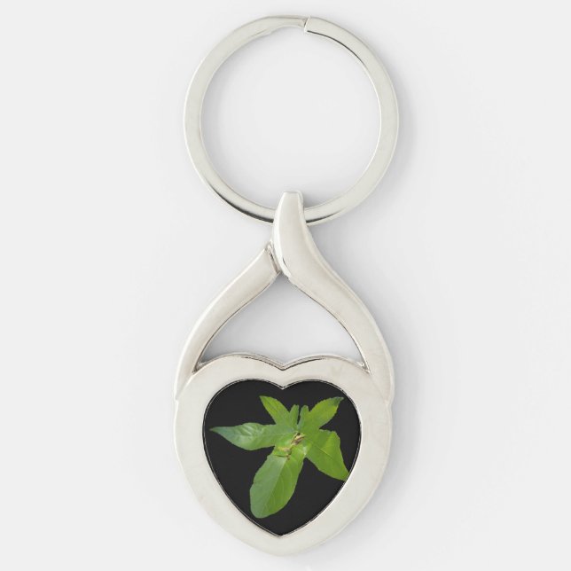 Green Grape Leaf Frog, Metal Keyring (Front)