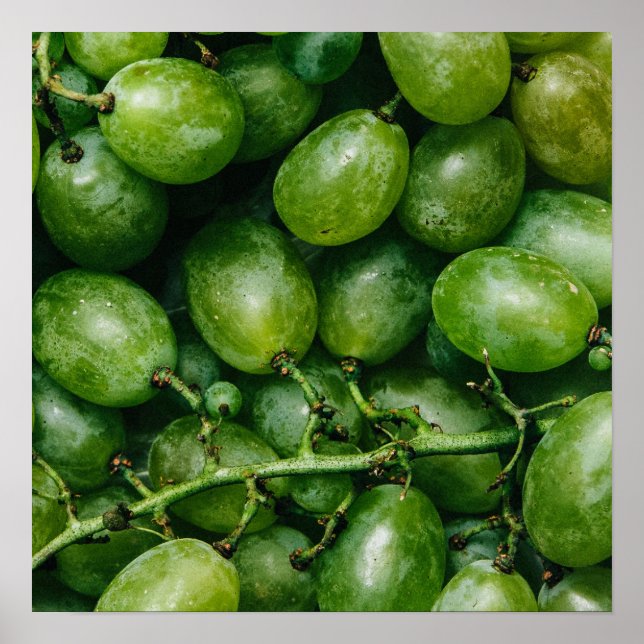 Green Grapes kitchen poster (Front)