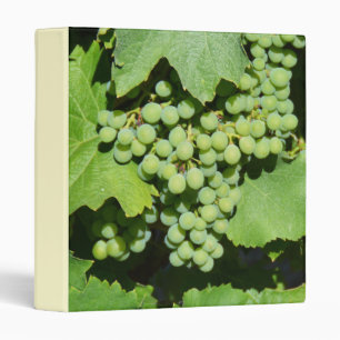 Green grapes on the vine binder